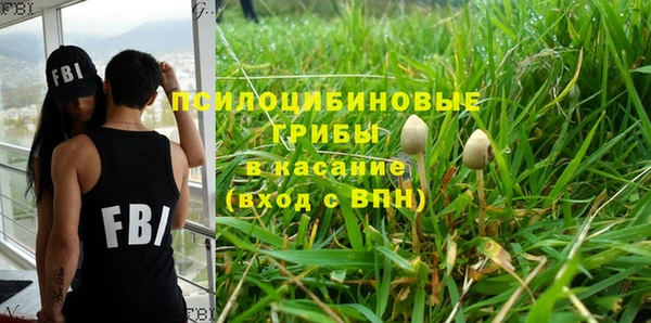 ПСИЛОЦИБИНОВЫЕ ГРИБЫ Баксан