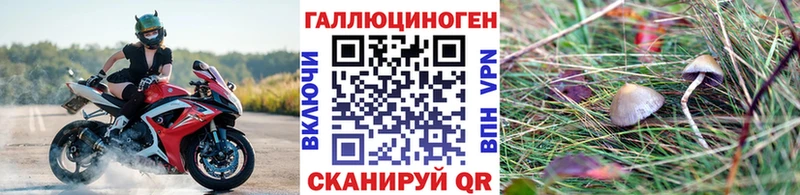 Галлюциногенные грибы прущие грибы Балтийск