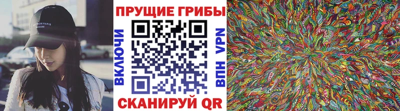 Псилоцибиновые грибы Psilocybine cubensis  мега рабочий сайт  Балтийск 