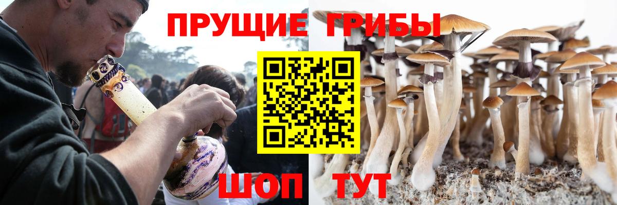 Псилоцибиновые грибы MAGIC MUSHROOMS  Галлюциногенные грибы прущие грибы  Балтийск  где продают наркотики  Вход с VPN 