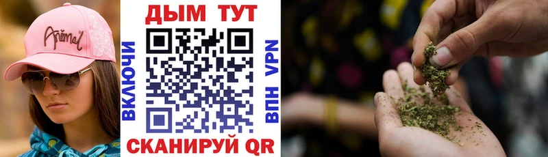 Конопля Bruce Banner  цены наркотик  shop состав  Балтийск 